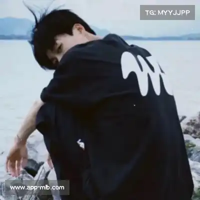 元博帆